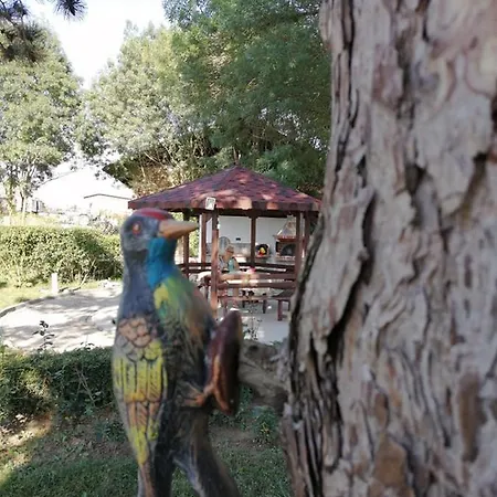 Guesthouse Gostilitsa Pensión