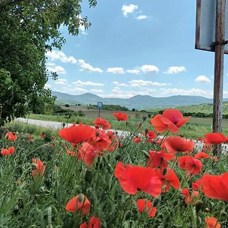 Guesthouse Gostilitsa Pensión 4*