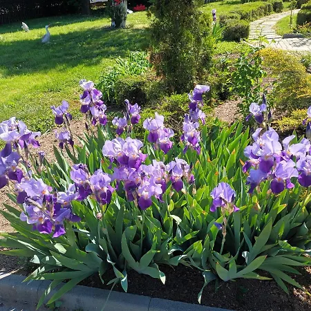 Pensión Guesthouse Gostilitsa Gostilitsa