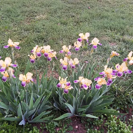 Guesthouse Gostilitsa Gostilitsa