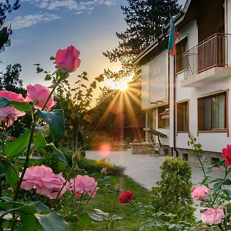 Guesthouse Gostilitsa Pensiune Gostilitsa