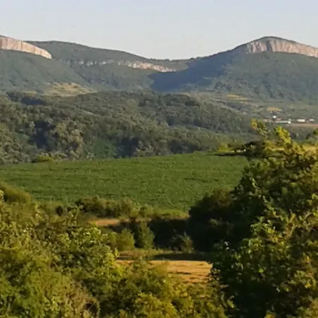 Guesthouse Gostilitsa Pensión Gostilitsa